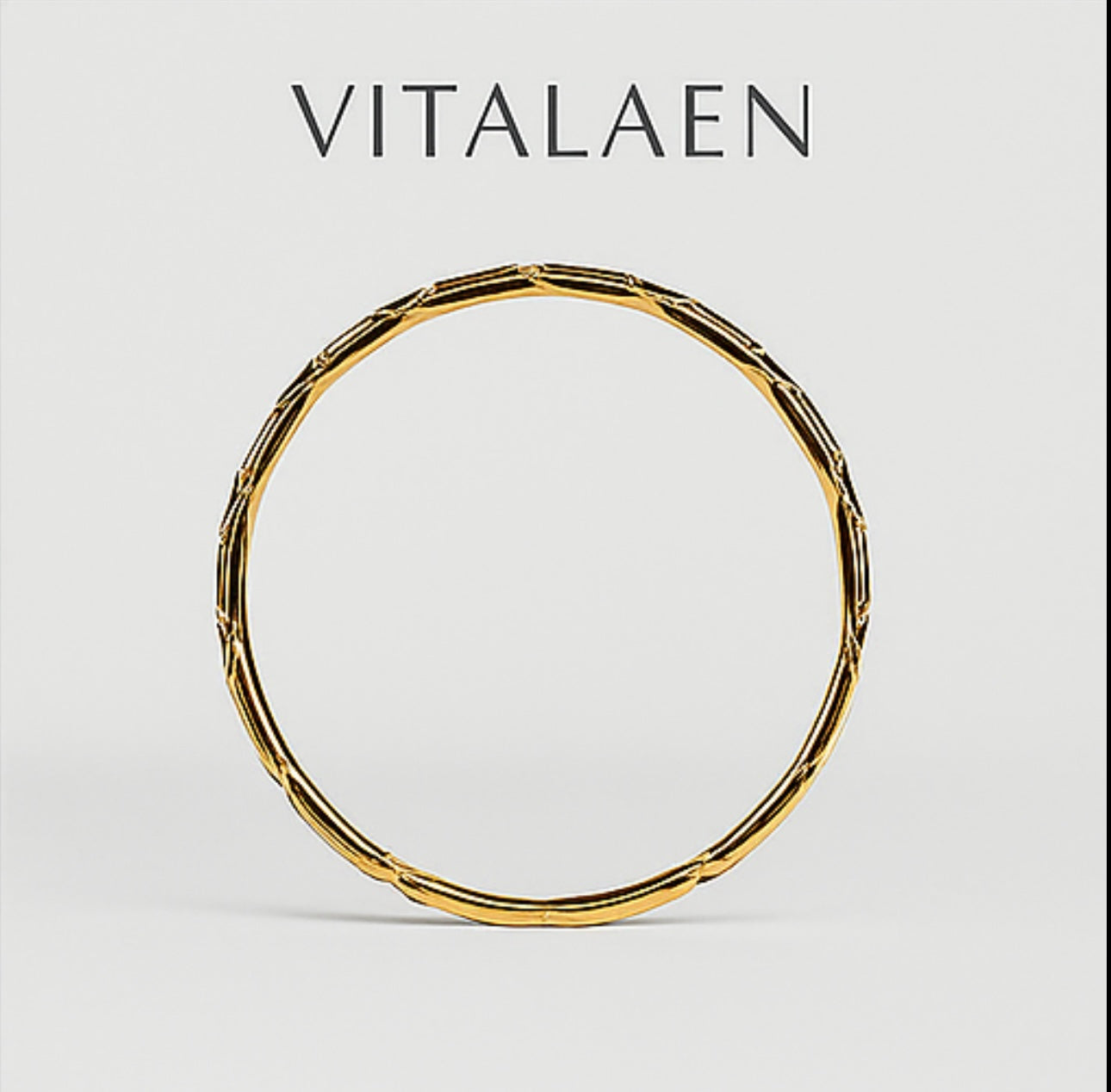 Vitalaen Auric Crest Bangle - Golden Poise – Limited Edition